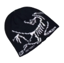 arcteryx beanie