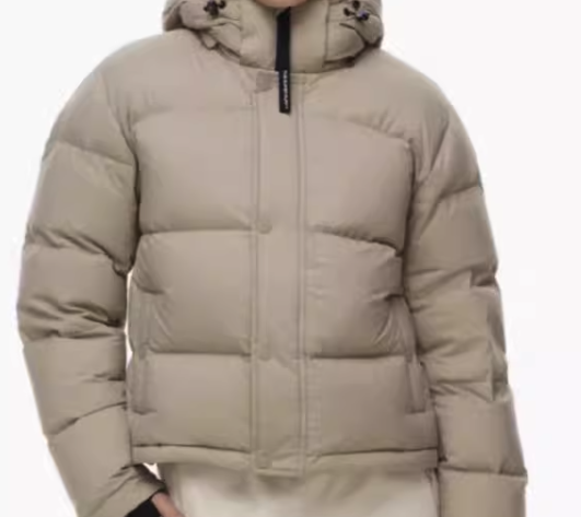 Aritzia Puffer Jacket