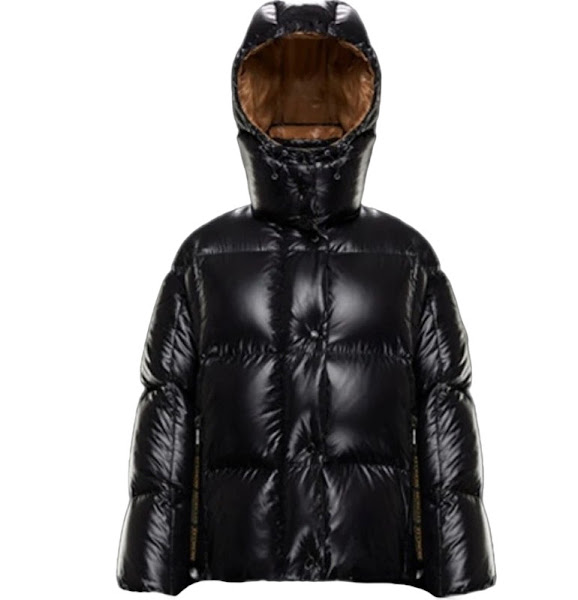Moncler Down Jacket