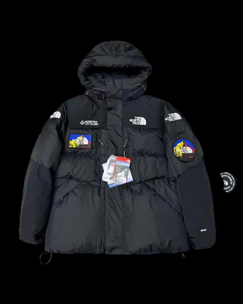 The North Face Down Jacket
