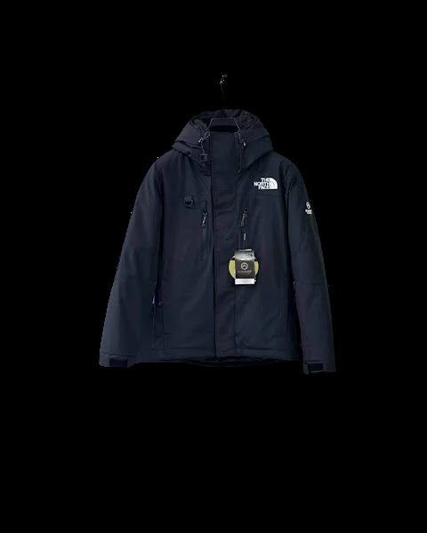 The North Face Down Jacket