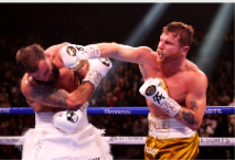 Canelo Posters