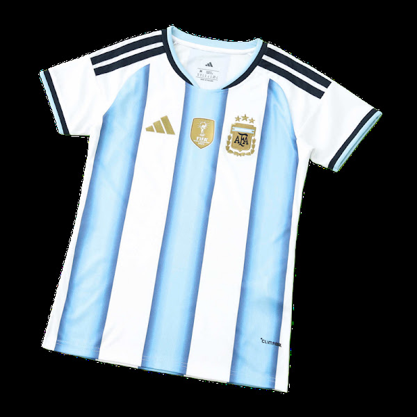 10、 2026 FIFA World Cup Argentina home Fan version