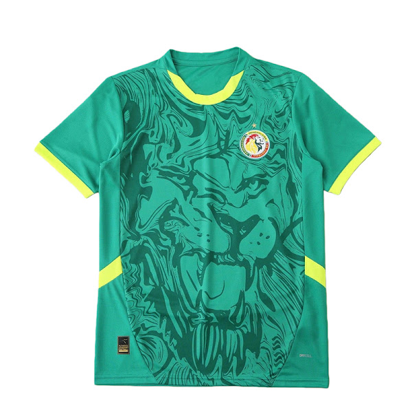 2026 FIFA World Cup Senegal home Player version
