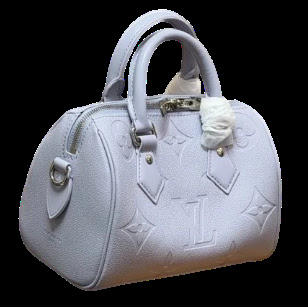 LV Tote Bag