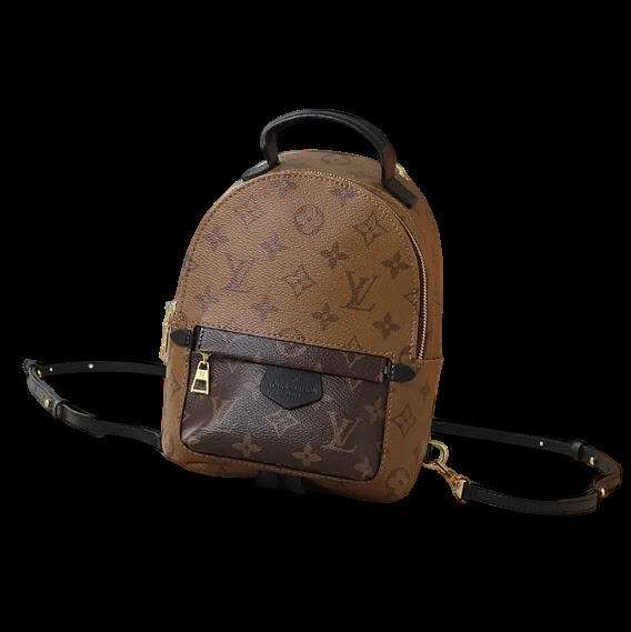 LV Backpack
