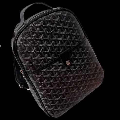 Goyard Backpack