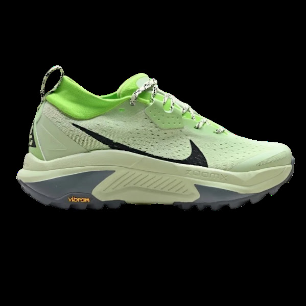 Nike ACG Mountain Fly 2 Low Sneakers